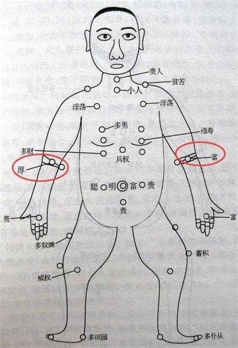 手臂有痣男|痣相分析：男手臂痣的位置与命运图